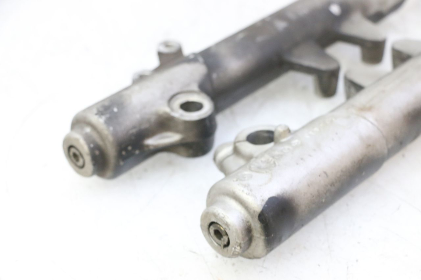 photo de STELO FORCELLA PEUGEOT ELYSTAR 50 (2002 - 2014) - Altra angolazione