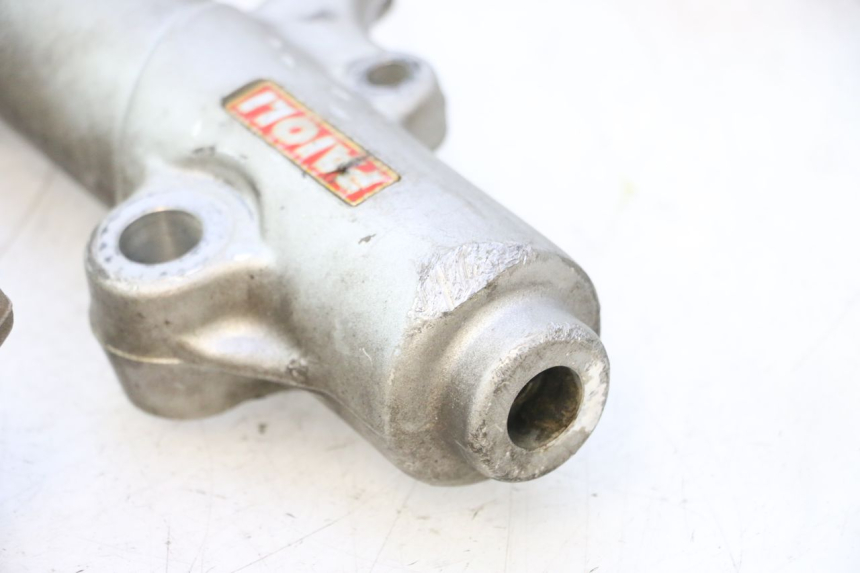 photo de STELO FORCELLA PEUGEOT ELYSTAR 50 (2002 - 2014) - Altra vista dell'articolo