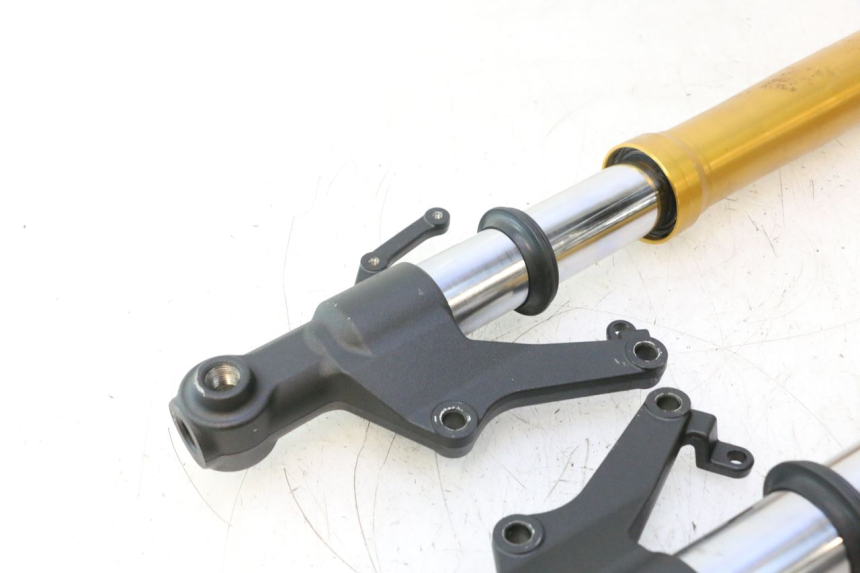 photo de STELO FORCELLA YAMAHA FZ8 800 (2010 - 2016) - Altra angolazione