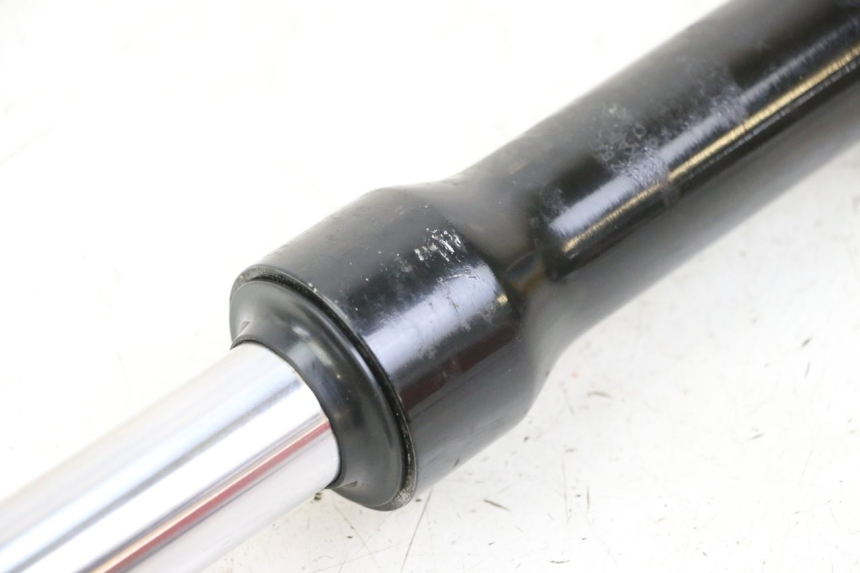 photo de STELO FORCELLA SINISTRA PEUGEOT TWEET 4T 50 (2023 - 2025) - Primo piano tecnico