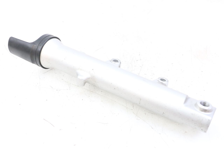 photo de STELO FORCELLA SINISTRA YAMAHA FZS FAZER 600 (2001 - 2003) - Vista principale