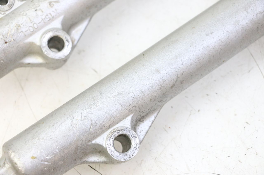 photo de STELO FORCELLA KAWASAKI KX 65 (2000 - 2019) - Focus sulla struttura