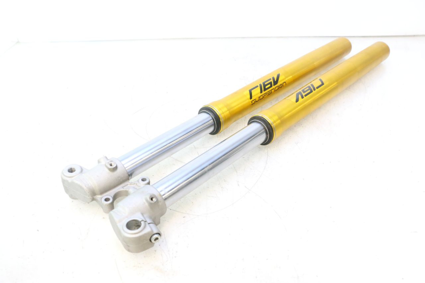 photo de STELO FORCELLA RIEJU MRT PRO SUPERMOTARD 50 (2007 - 2018) - Vista principale