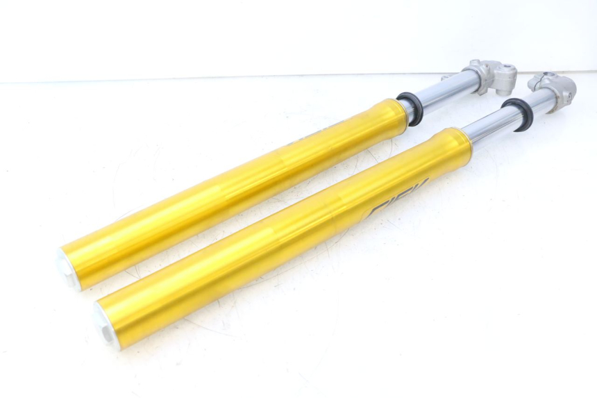 photo de STELO FORCELLA RIEJU MRT PRO SUPERMOTARD 50 (2007 - 2018) - Primo piano tecnico