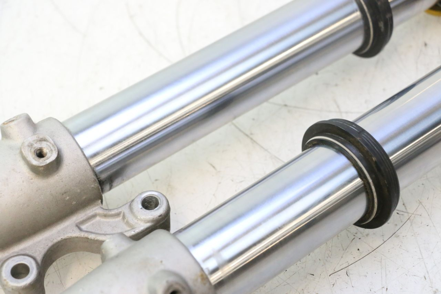 photo de STELO FORCELLA RIEJU MRT PRO SUPERMOTARD 50 (2007 - 2018) - Ricambio usato controllato