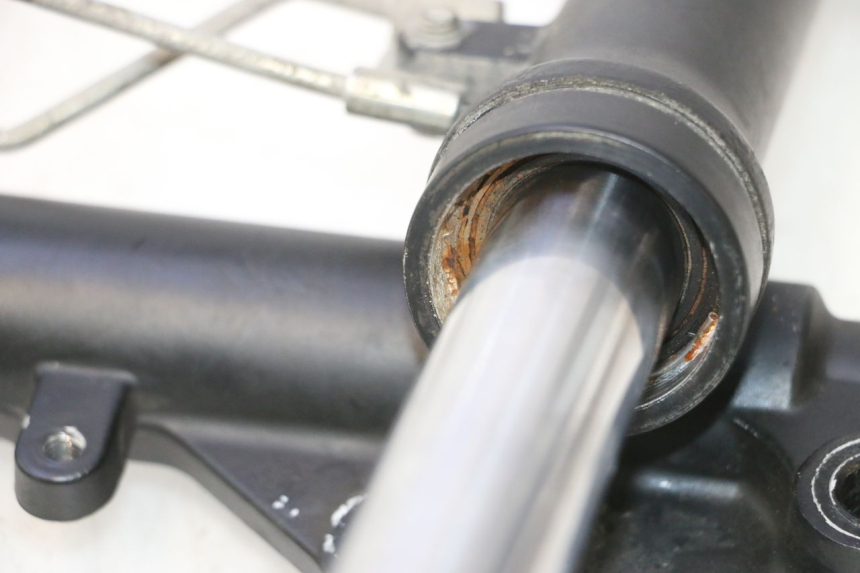 photo de STELO FORCELLA JM MOTORS OLDIES 4T 50 (2010 - 2020) - Dettaglio del componente