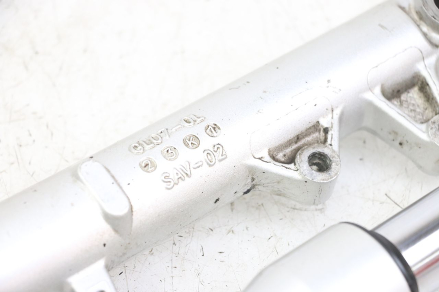 photo de STELO FORCELLA PIAGGIO LIBERTY IGET 4T 50 (2021 - 2025) - Vista d'insieme del prodotto