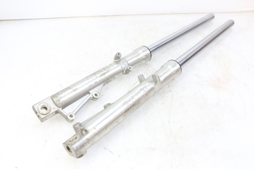 photo de STELO FORCELLA REGAL RAPTOR RAXTER 2 125 (2007 - 2015) - Primo piano tecnico