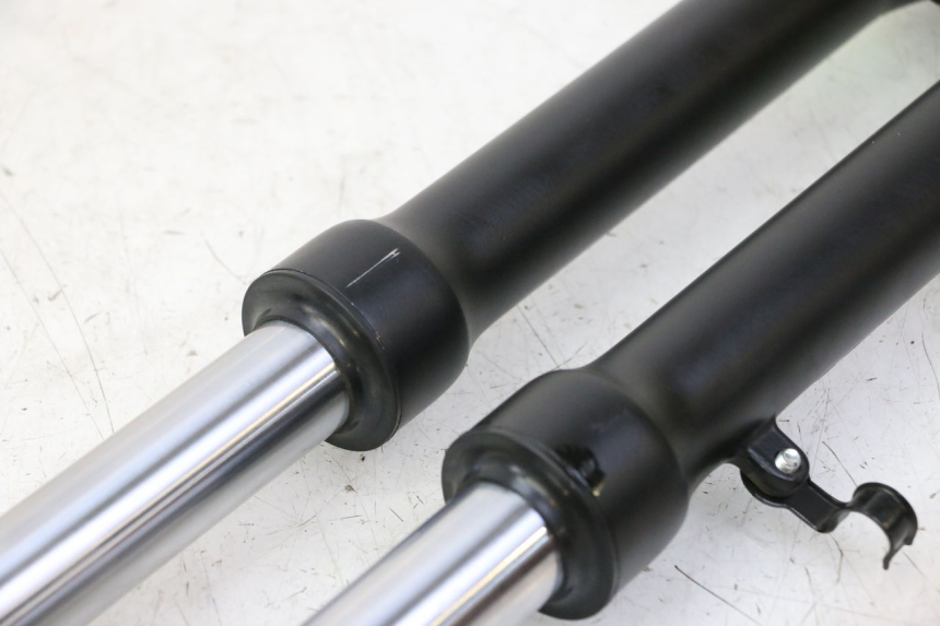 photo de STELO FORCELLA APOLLO RFZ 125 - Vista d'insieme del prodotto