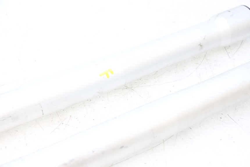 photo de STELO FORCELLA APOLLO RFZ 140 - Primo piano ad alta risoluzione