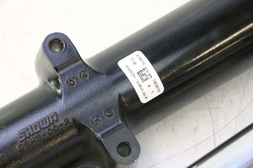 photo de STELO FORCELLA HARLEY DAVIDSON ROAD GLIDE FLTRXSE 1920 (2018 - 2022) - Caratteristiche distintive