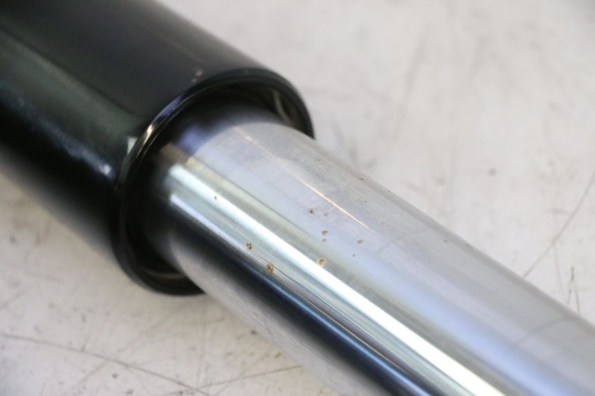 photo de STELO FORCELLA HARLEY DAVIDSON ROAD GLIDE FLTRXSE 1920 (2018 - 2022) - Stato della superficie e materiale