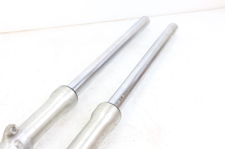 photo de STELO FORCELLA DAELIM VL DAYSTAR 125 (2000 - 2011) - Stato della superficie e materiale