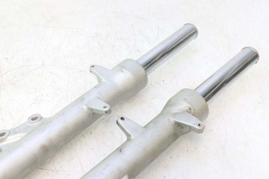 photo de STELO FORCELLA PIAGGIO X9 EVOLUTION 125 (2003 - 2007) - Caratteristiche distintive