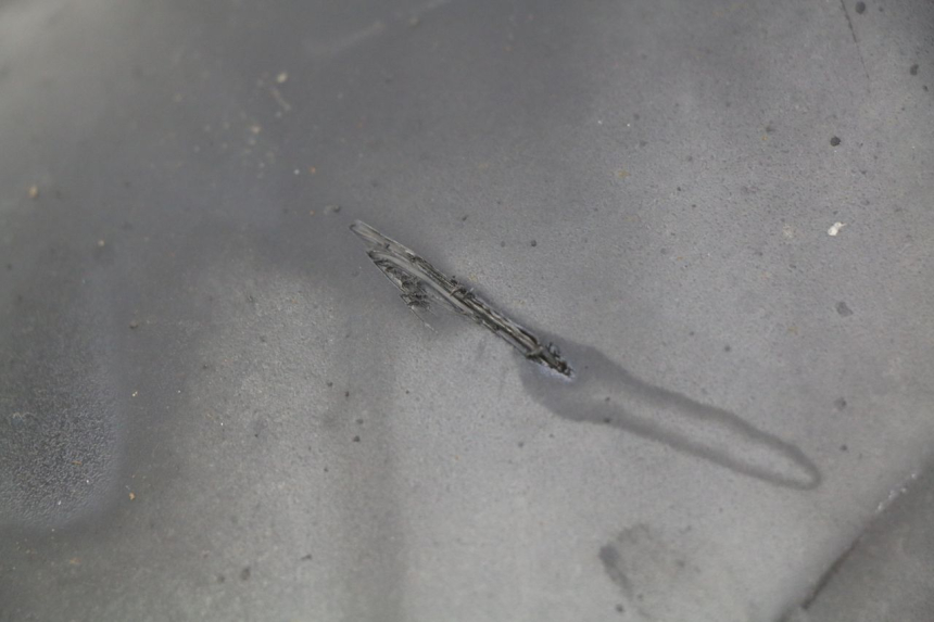 photo de PARAFANGO POSTERIORE HONDA FORZA 125 (2015 - 2016) - Dettaglio del componente