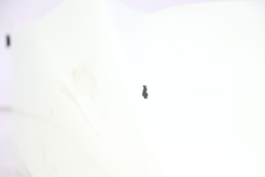 photo de PARAFANGO ANTERIORE BMW C1 125 (2000 - 2003) - Primo piano ad alta risoluzione