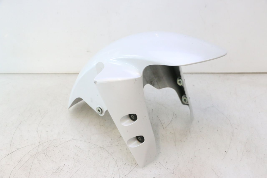 photo de PARAFANGO ANTERIORE YAMAHA FZ8 800 (2010 - 2016) - Vista principale