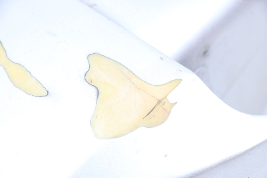 photo de Parafango anteriore HYOSUNG GF 125 (2001 - 2005) - Zoom sullo stato d'uso