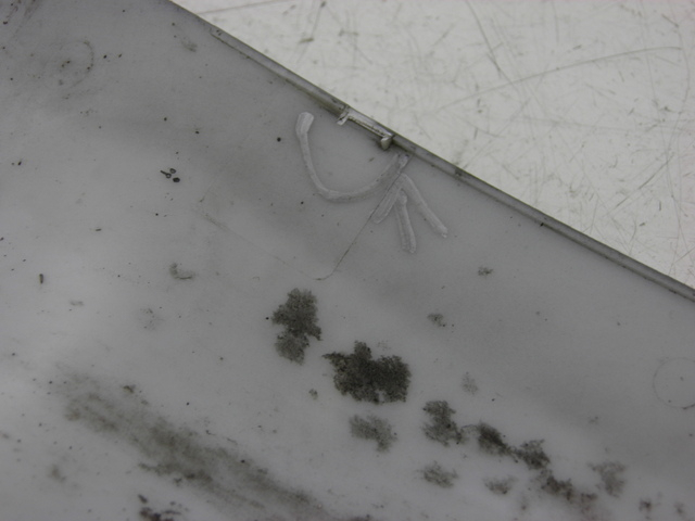 photo de Parafango anteriore YAMASAKI YM50QT-N3 RETRO 50 (2012 - 2014) - Dettaglio del componente