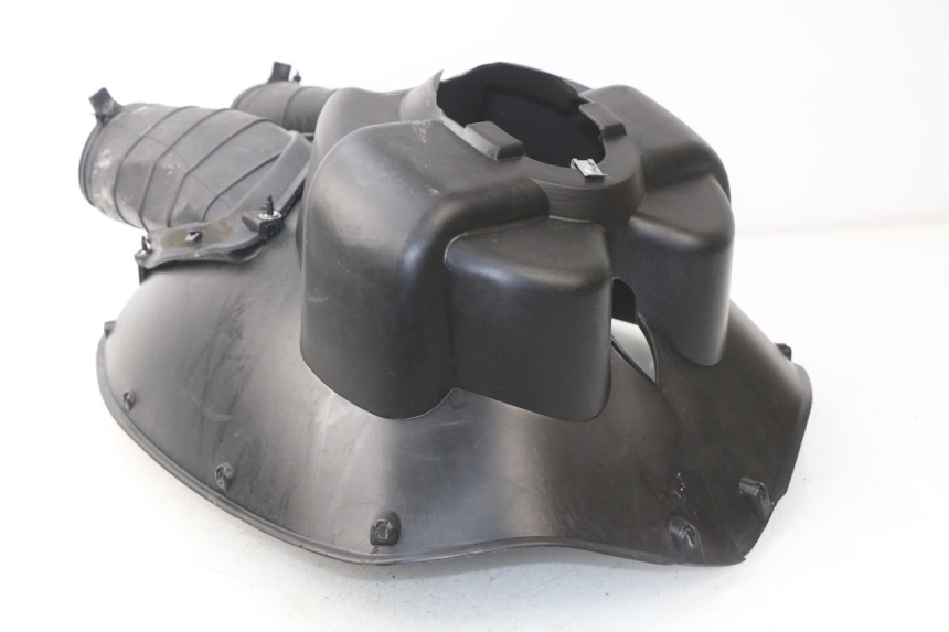 photo de Griglia del radiatore APRILIA ATLANTIC 125 (2003 - 2009) - Zoom sullo stato d'uso