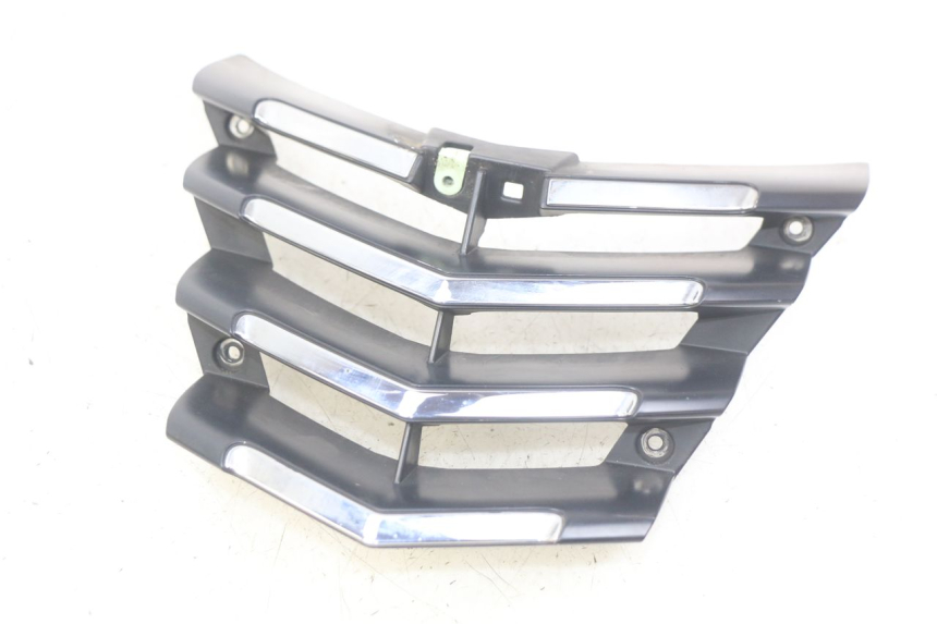 photo de GRIGLIA RADIATORE PEUGEOT CITYSTAR 125 (2011 - 2017) - Vista principale