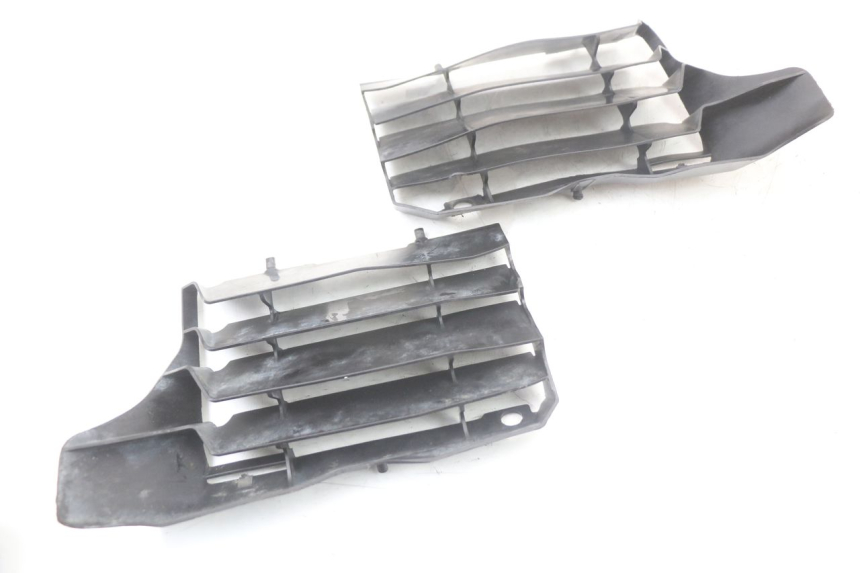 photo de GRIGLIA RADIATORE HONDA CRF R 250 (2020 - 2021) - Dettaglio del componente
