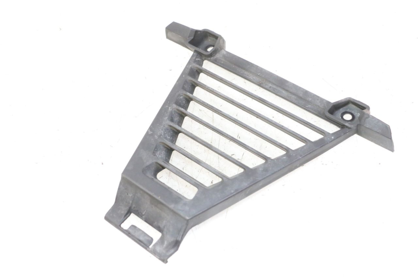 photo de GRIGLIA RADIATORE BMW G310 R 310 (2016 - 2020) - Vista principale