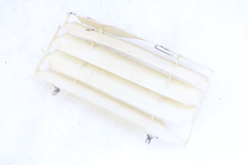 photo de GRIGLIA RADIATORE SINISTRA HONDA CRF CR-F 450 (2009 - 2012) - Vista principale