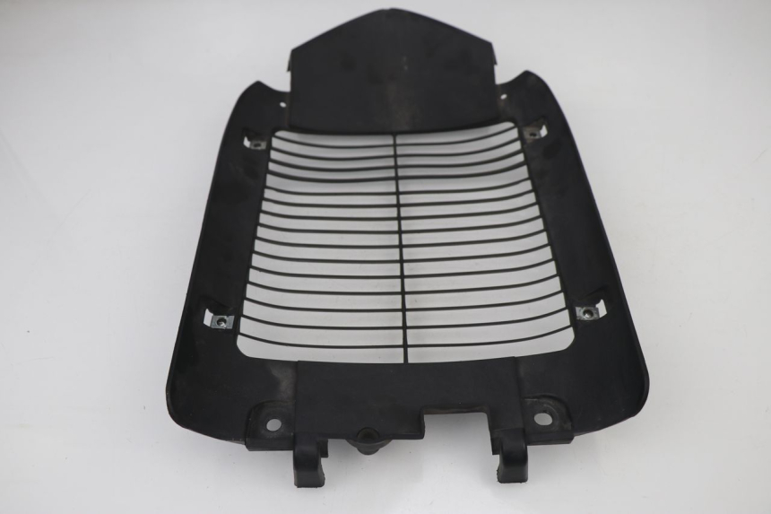 photo de GRIGLIA RADIATORE SYM MAXSYM I 400 (2011 - 2016) - Vista principale