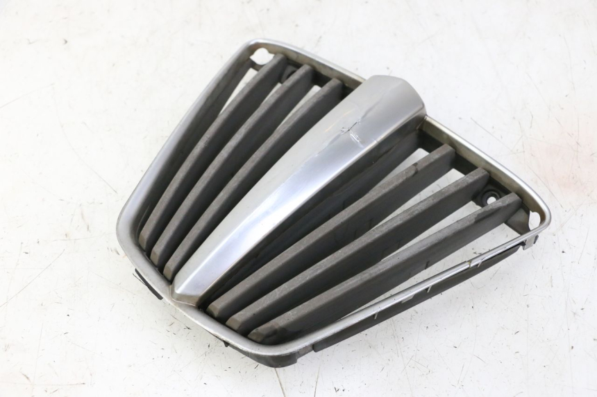 photo de GRIGLIA RADIATORE PIAGGIO MP3 LT 300 (2010 - 2016) - Vista principale