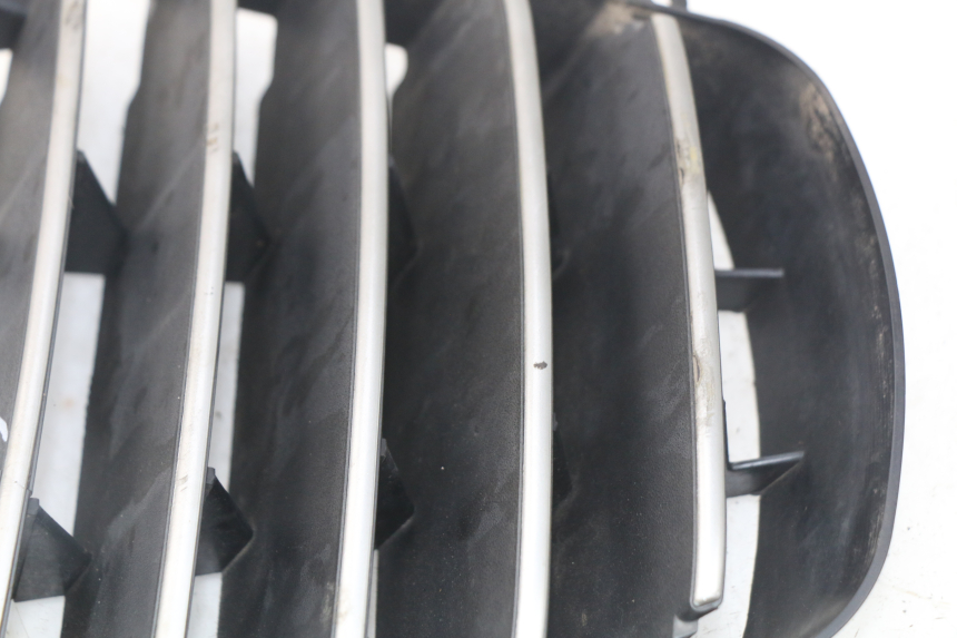 photo de GRIGLIA RADIATORE PIAGGIO MP3 125 (2006 - 2014) - Vista d'insieme del prodotto