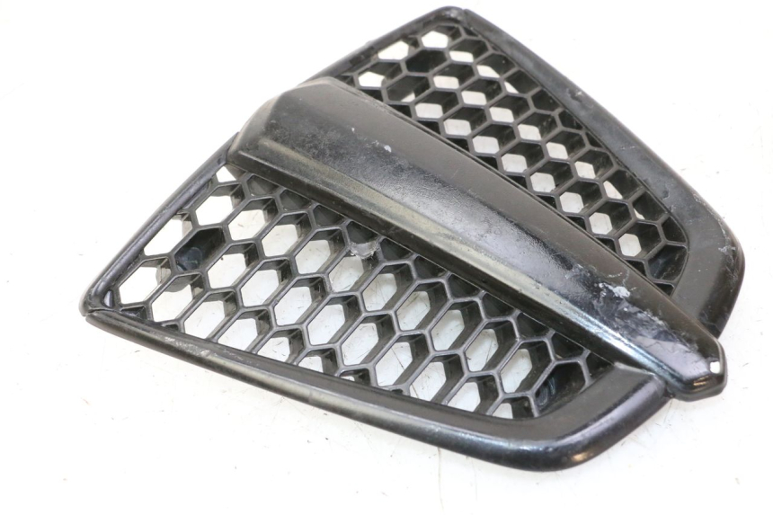 photo de GRIGLIA RADIATORE PIAGGIO MP3 500 (2011 - 2015) - Vista principale