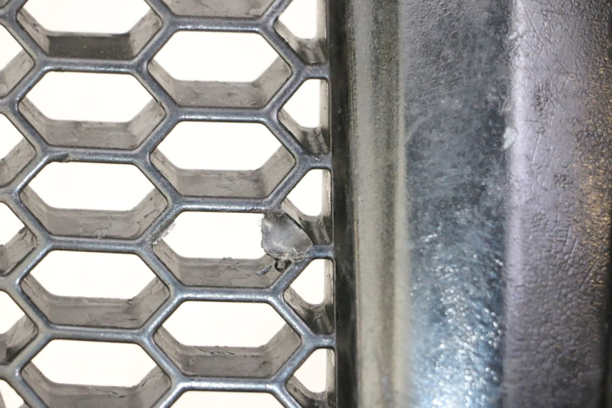 photo de GRIGLIA RADIATORE PIAGGIO MP3 500 (2011 - 2015) - Zoom sullo stato d'uso