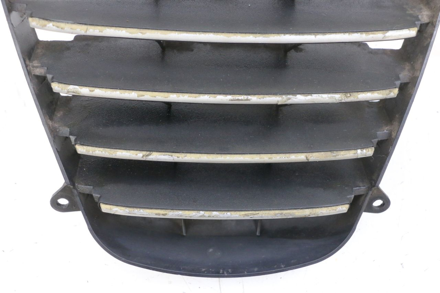 photo de GRIGLIA RADIATORE PIAGGIO MP3 125 (2006 - 2014) - Dettaglio del componente