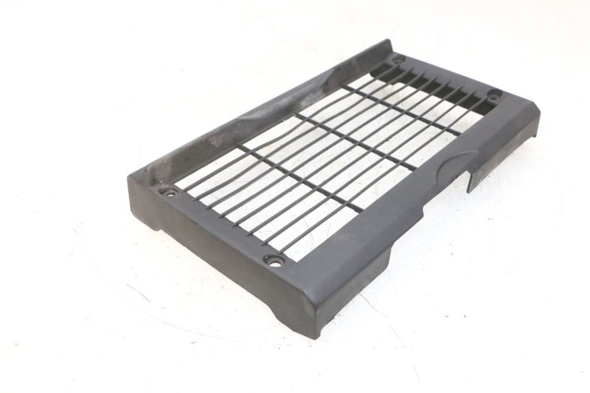 photo de Griglia del radiatore HONDA NSR R 125 (1994 - 2003) - Primo piano tecnico