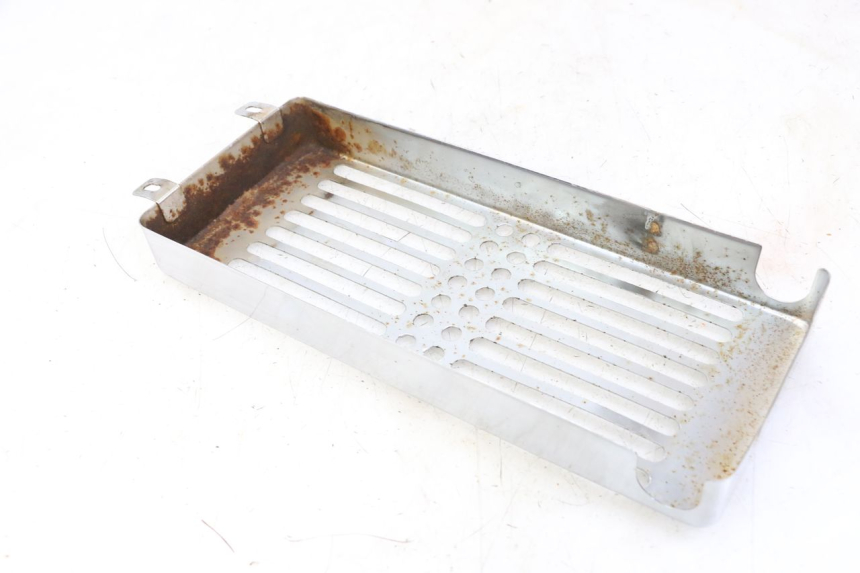 photo de GRIGLIA RADIATORE REGAL RAPTOR RAXTER 2 125 (2007 - 2015) - Dettaglio del componente