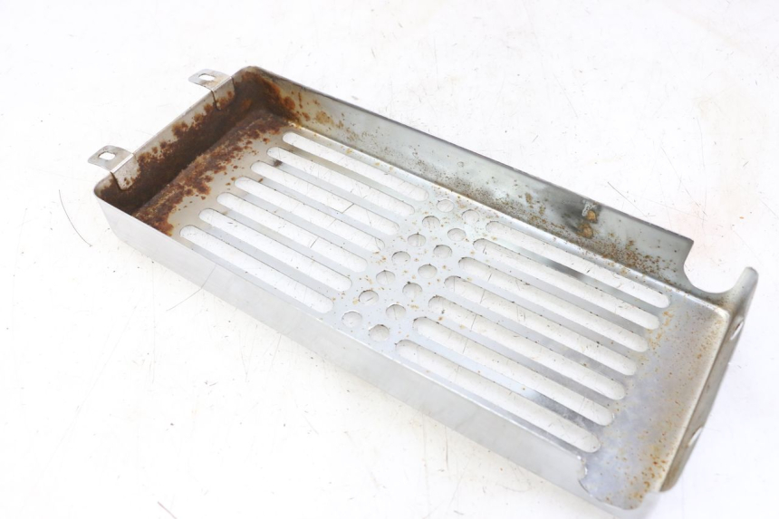 photo de GRIGLIA RADIATORE REGAL RAPTOR RAXTER 2 125 (2007 - 2015) - Zoom sullo stato d'uso