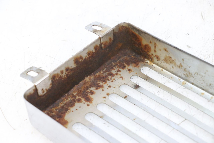 photo de GRIGLIA RADIATORE REGAL RAPTOR RAXTER 2 125 (2007 - 2015) - Altra angolazione