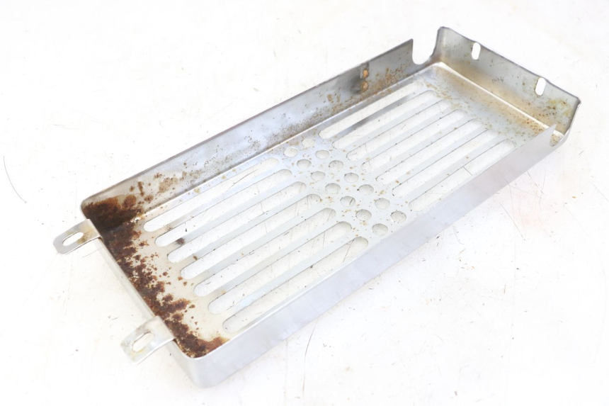 photo de GRIGLIA RADIATORE REGAL RAPTOR RAXTER 2 125 (2007 - 2015) - Primo piano tecnico