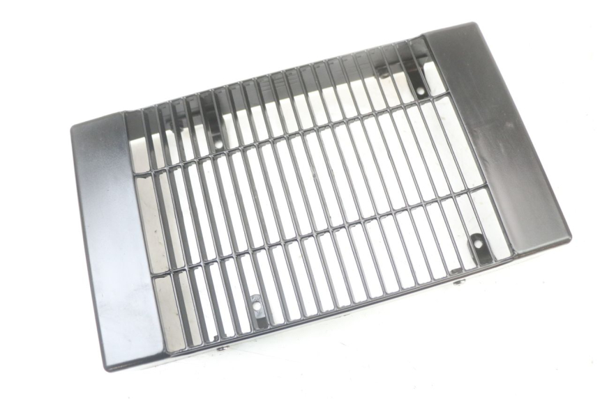 photo de GRIGLIA RADIATORE REGAL RAPTOR SPYDER 125 (2010 - 2018) - Zoom sullo stato d'uso