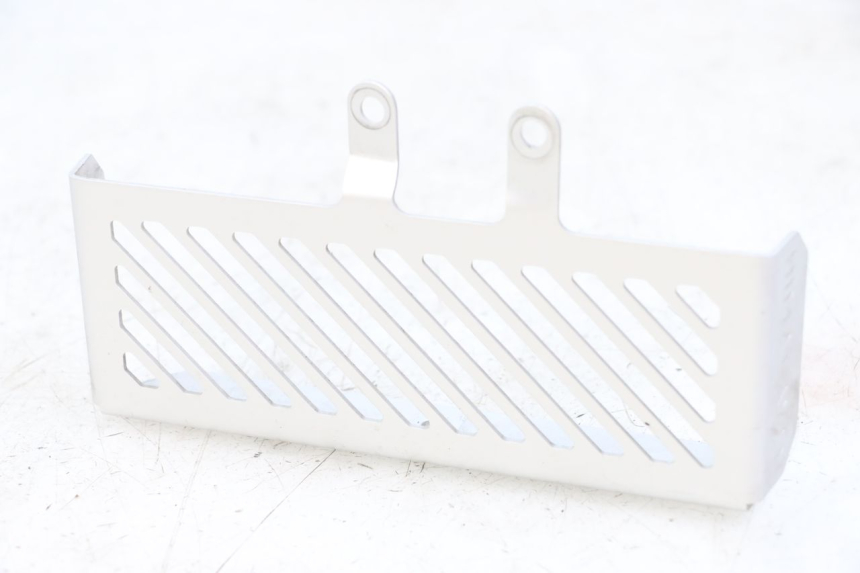 photo de GRIGLIA RADIATORE ROYAL ENFIELD HYMALAYAN 410 (2016 - 2023) - Vista principale