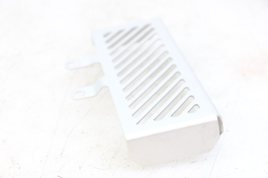 photo de GRIGLIA RADIATORE ROYAL ENFIELD HYMALAYAN 410 (2016 - 2023) - Altra angolazione