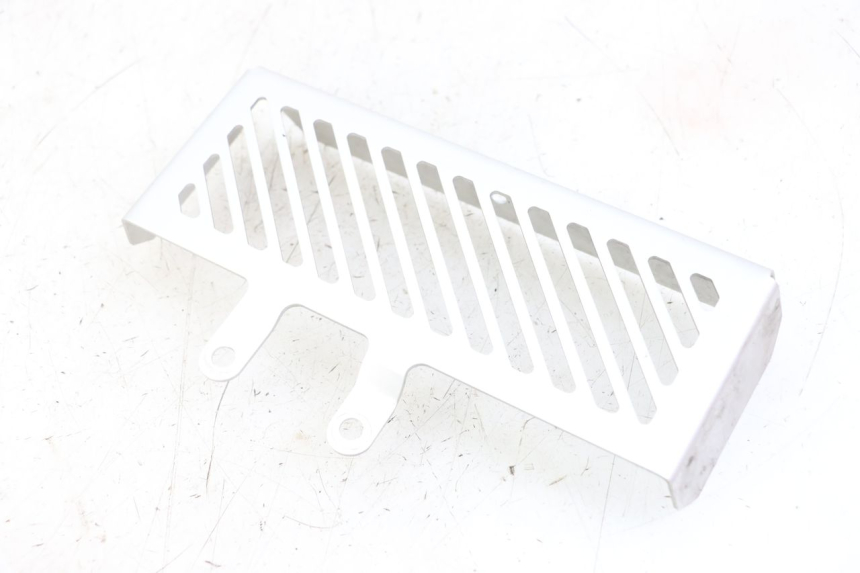 photo de GRIGLIA RADIATORE ROYAL ENFIELD HYMALAYAN 410 (2016 - 2023) - Primo piano tecnico