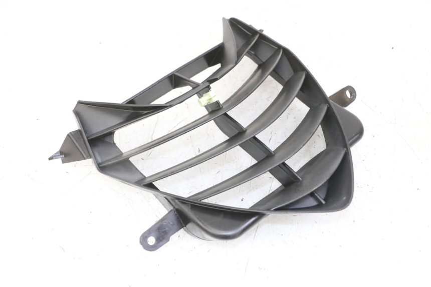 photo de GRIGLIA RADIATORE PEUGEOT SPEEDFIGHT 2 LC 50 (2000 - 2009) - Vista principale