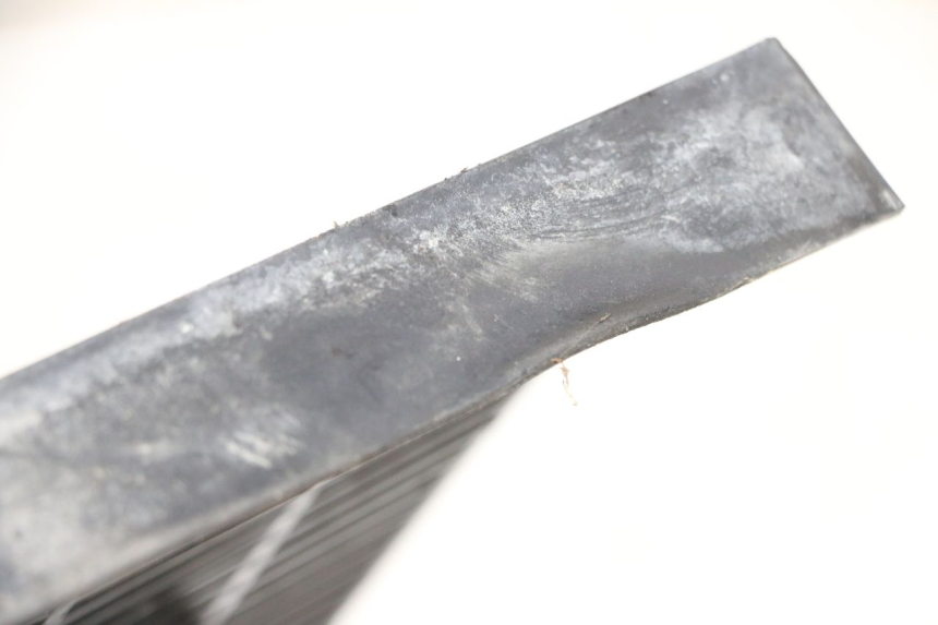 photo de GRIGLIA RADIATORE TRIUMPH SPRINT 900 (1995 - 1998) - Dettaglio del componente