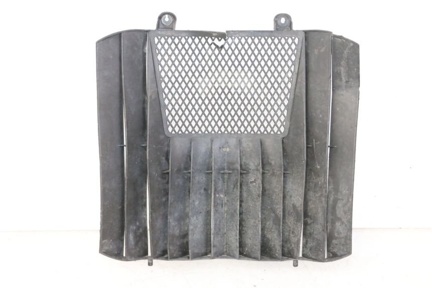 photo de GRIGLIA RADIATORE KTM SUPERENDURO R 950 (2005 - 2009) - Vista principale