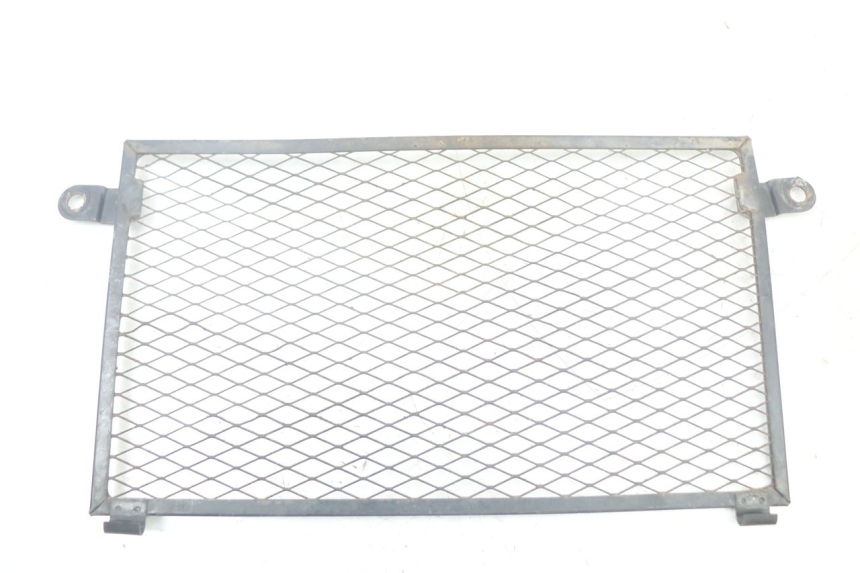 photo de GRIGLIA RADIATORE YAMAHA TDM ABS 900 (2002 - 2014) - Vista principale