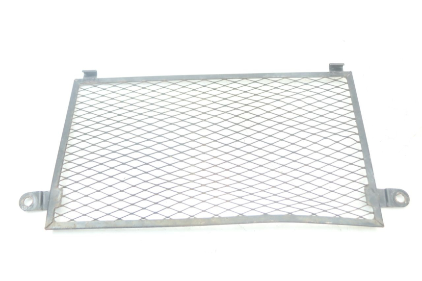 photo de GRIGLIA RADIATORE YAMAHA TDM ABS 900 (2002 - 2014) - Dettaglio del componente