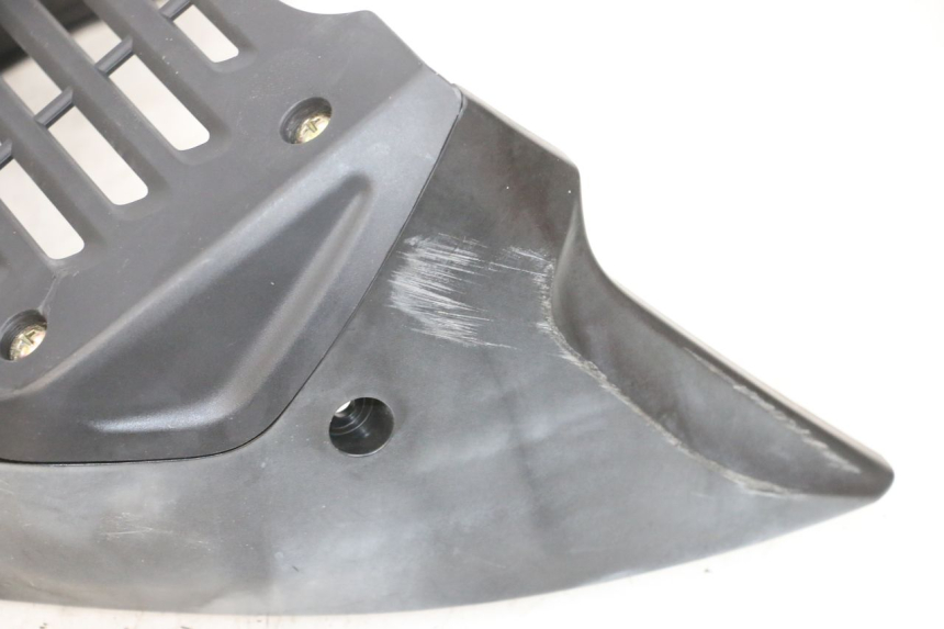 photo de GRIGLIA RADIATORE DAELIM VJ ROADWIN FI 125 (2008 - 2017) - Vista d'insieme del prodotto