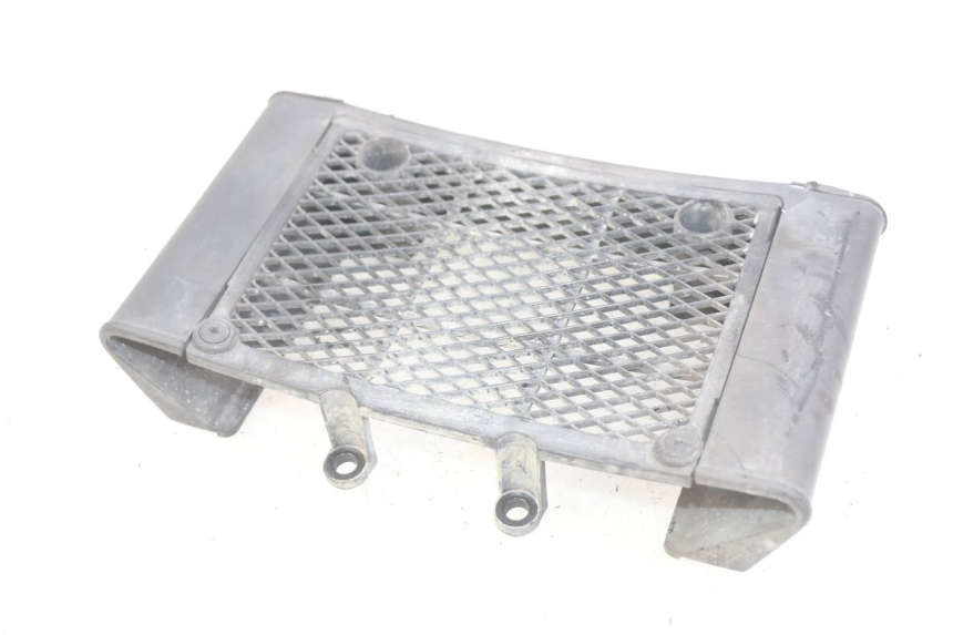 photo de GRIGLIA RADIATORE DAELIM VL DAYSTAR 125 (2000 - 2011) - Altra angolazione